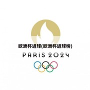 欧洲杯进球(欧洲杯进球榜)