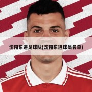 沈阳东进足球队(沈阳东进球员名单)