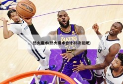 热火魔术(热火魔术合计28次犯规)