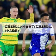 实况足球2014中文补丁(实况足球2014中文设置)