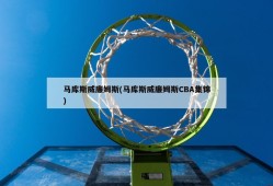 马库斯威廉姆斯(马库斯威廉姆斯CBA集锦)