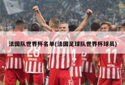 法国队世界杯名单(法国足球队世界杯球员)