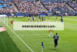 邦奇威尔斯(邦奇威尔斯什么水平)
