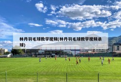 林丹羽毛球教学视频(林丹羽毛球教学视频杀球)