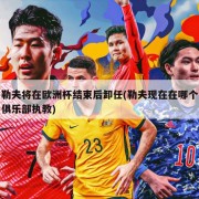勒夫将在欧洲杯结束后卸任(勒夫现在在哪个俱乐部执教)