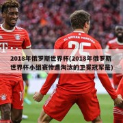 2018年俄罗斯世界杯(2018年俄罗斯世界杯小组赛惨遭淘汰的卫冕冠军是)