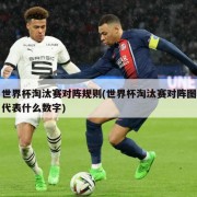 世界杯淘汰赛对阵规则(世界杯淘汰赛对阵图代表什么数字)