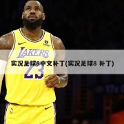 实况足球8中文补丁(实况足球8 补丁)