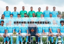 世界杯帅哥(世界杯帅哥图鉴贴纸)