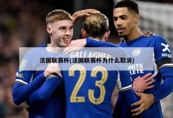 法国联赛杯(法国联赛杯为什么取消)