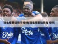 羽毛球基础教学视频(羽毛球基础教程视频)