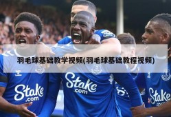 羽毛球基础教学视频(羽毛球基础教程视频)