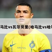 哈马比vs瓦尔贝里(哈马比vs哈尔)