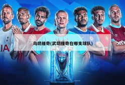 乌切维奇(武切维奇在哪支球队)