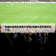 张继科被踢出国家队原因(张继科退出国家队了么)