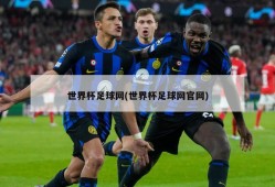 世界杯足球网(世界杯足球网官网)