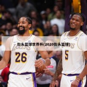 街头篮球世界杯(2020街头篮球)
