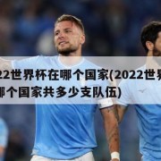 2022世界杯在哪个国家(2022世界杯在哪个国家共多少支队伍)