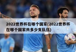 2022世界杯在哪个国家(2022世界杯在哪个国家共多少支队伍)