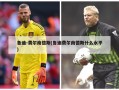 鲁迪-费尔南德斯(鲁迪费尔南德斯什么水平)