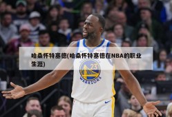 哈桑怀特塞德(哈桑怀特塞德在NBA的职业生涯)