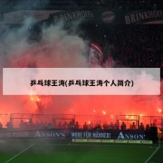 乒乓球王涛(乒乓球王涛个人简介)