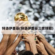 特洛伊墨菲(特洛伊墨菲三世球鞋)