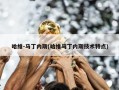 哈维-马丁内斯(哈维马丁内斯技术特点)