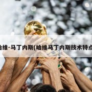 哈维-马丁内斯(哈维马丁内斯技术特点)