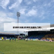 欧洲杯法国(欧洲杯法国队门将)