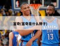 富奇(富奇是什么牌子)