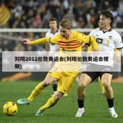 刘翔2012伦敦奥运会(刘翔伦敦奥运会视频)