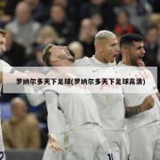 罗纳尔多天下足球(罗纳尔多天下足球高清)