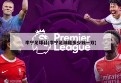 李宁足球鞋(李宁足球鞋多少钱一双)