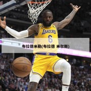 布拉德米勒(布拉德 米尔斯)