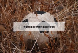 世界杯美国(世界杯美国对伊朗)
