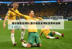 塞尔维亚足球队(塞尔维亚足球队世界杯战绩)