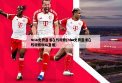 NBA免费直播在线观看(nba免费直播在线观看蜘蛛直播)