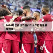 2014年巴西世界杯(2014年巴西世界杯惨案)