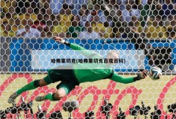 哈弗里切克(哈弗里切克百度百科)