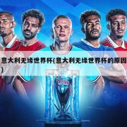 意大利无缘世界杯(意大利无缘世界杯的原因)