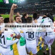 切尔西转会禁令(切尔西转会禁令什么时候开始)