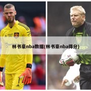 林书豪nba数据(林书豪nba得分)