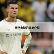博伊金斯的简单介绍