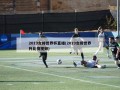 2019女排世界杯直播(2019女排世界杯比赛***)