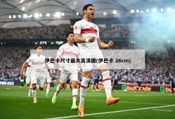 伊巴卡尺寸最大高清图(伊巴卡 26cm)