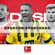 保罗加索尔臂展(保罗加索尔实际身高)