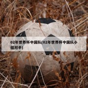 02年世界杯中国队(02年世界杯中国队小组对手)