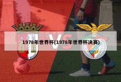 1978年世界杯(1978年世界杯决赛)