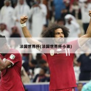 法国世界杯(法国世界杯小弟)